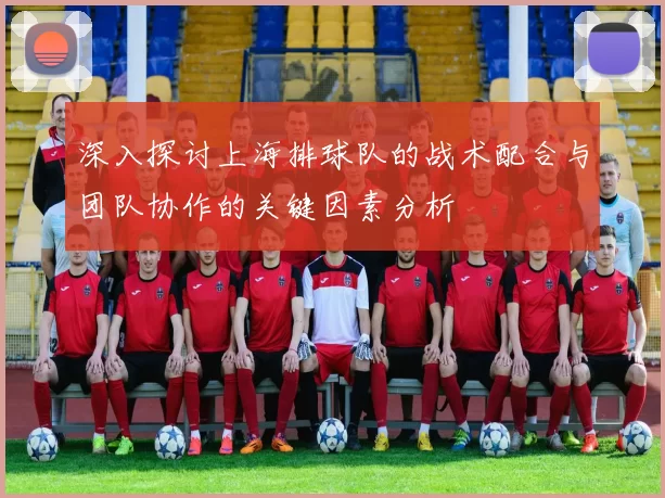 深入探讨上海排球队的战术配合与团队协作的关键因素分析