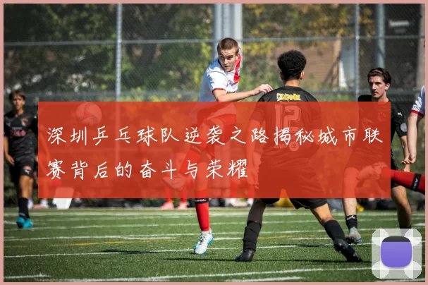 深圳乒乓球队逆袭之路揭秘城市联赛背后的奋斗与荣耀