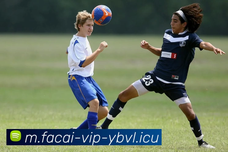 米兰体育APP 封面图